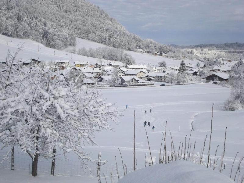 Schneider-hof Inkl. Chiemgaukarte * Ruhpolding